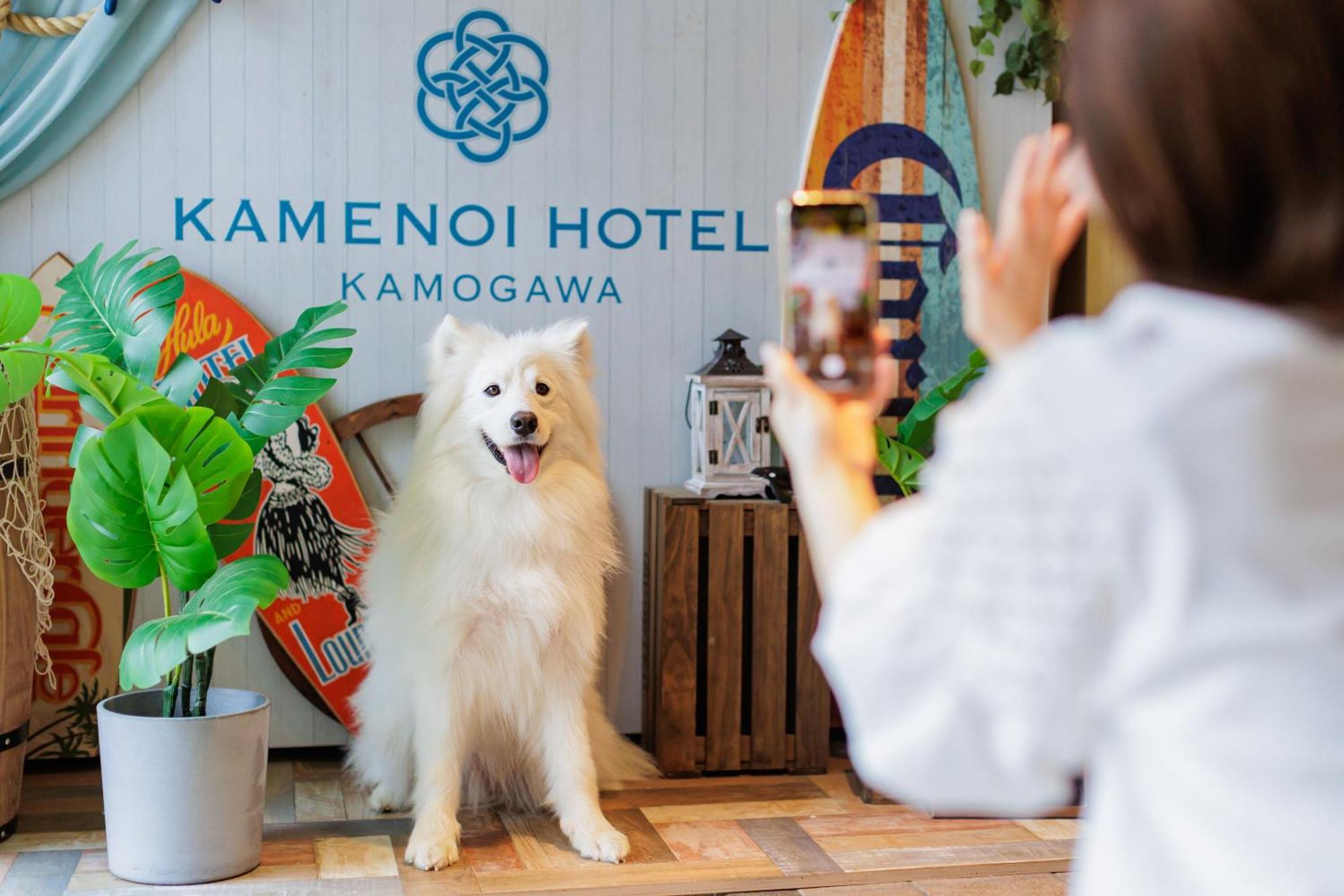 Kamenoi Hotel Kamogawa Exterior foto